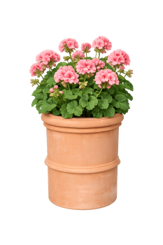 Preview: Mezzo Vaso Cilindrico Festonato – Halber Wandtopf aus Terracotta Impruneta